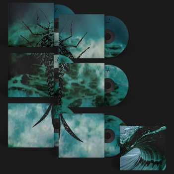 6CD/Box Set Rainforest Spiritual Enslavement: Water Witches 500818
