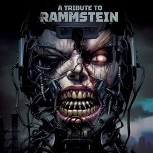 LP Various: A Tribute To Rammstein CLR | LTD 495552