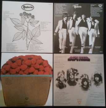 4CD/Box Set Raspberries: Classic Album Set 352083