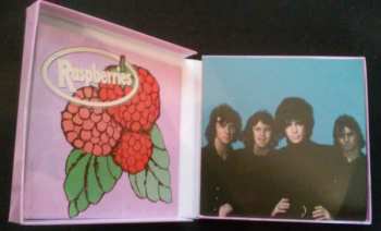 4CD/Box Set Raspberries: Classic Album Set 352083