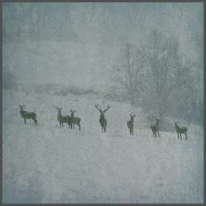 Album Rauhnacht: Winterstille