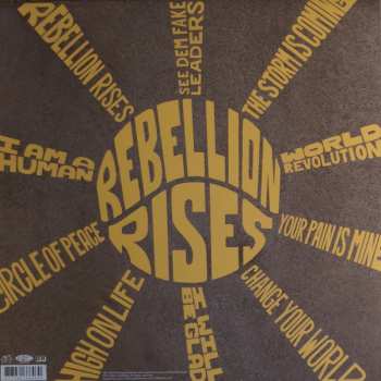 LP Ziggy Marley: Rebellion Rises 29733