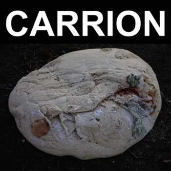 LP Recitation: Carrion 469254