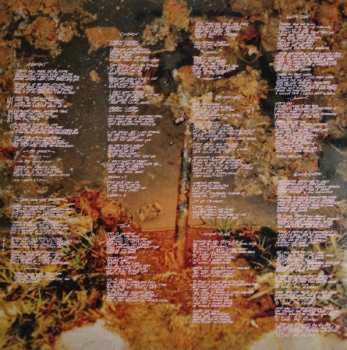 2LP Red Hot Chili Peppers: By The Way