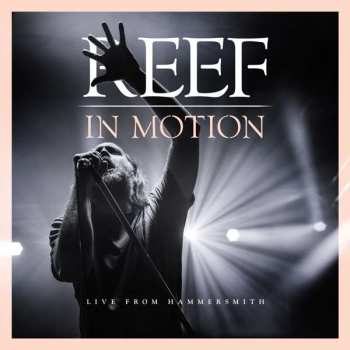CD/Blu-ray Reef: In Motion Live From Hammersmith DIGI 17604
