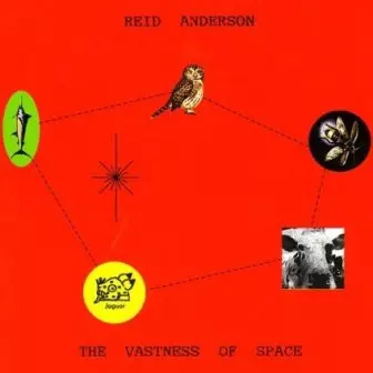 Reid Anderson: The Vastness Of Space
