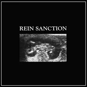 Rein Sanction
