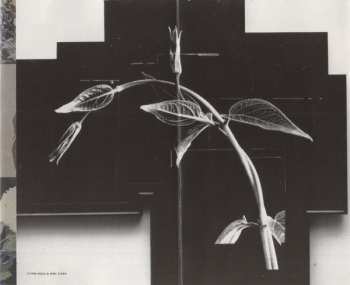 MC R.E.M.: Out Of Time