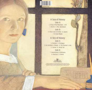 6LP/Box Set Kate Bush: Remastered In Vinyl III 38932