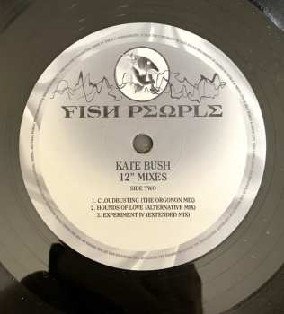 4LP/Box Set Kate Bush: Remastered In Vinyl IV 38933