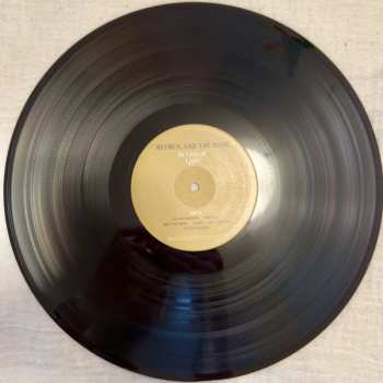 LP Reuben And The Dark: In Lieu Of Light