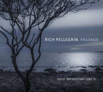 Album Rich Pellegrin: Passage: Solo Improvisations Ii
