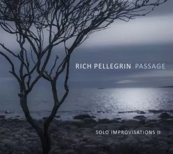 Rich Pellegrin: Passage: Solo Improvisations Ii