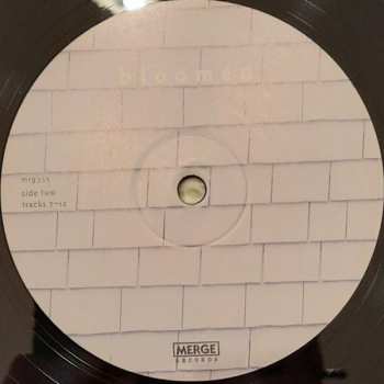 LP/CD Richard Buckner: Bloomed 88754