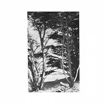 Album Rick Deitrick: Gentle Wilderness