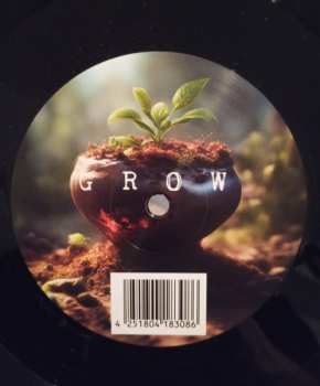 LP Rico Puestel: Turn / Grow
