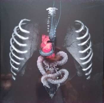 LP Risposta: Zaplať Si Sám