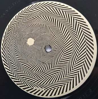 LP R.N.A. Organism: R.N.A.O Meets P.O.P.O LTD