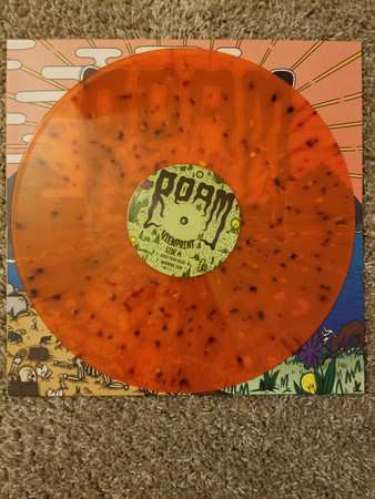Album Roam: Viewpoint