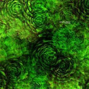 Album Robert Dietz: Slinger