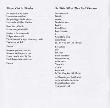 CD Robert Forster: Danger In The Past 536119