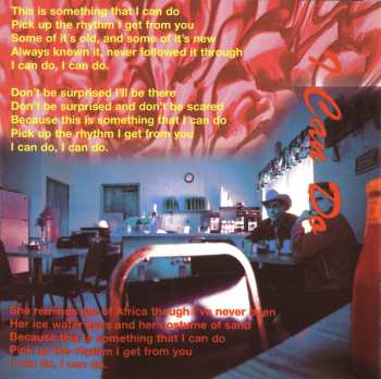 CD Robert Forster: Warm Nights