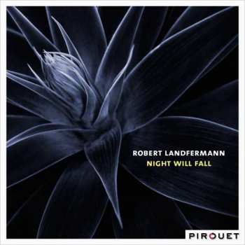 Album Robert Landfermann: Night Will Fall