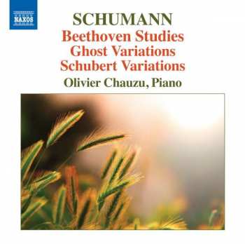 Robert Schumann: Beethoven Studies