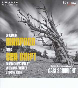 Album Robert Schumann: Manfred Op.115