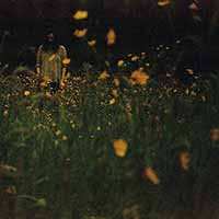 Album Robin Lewis Adams: The Garden