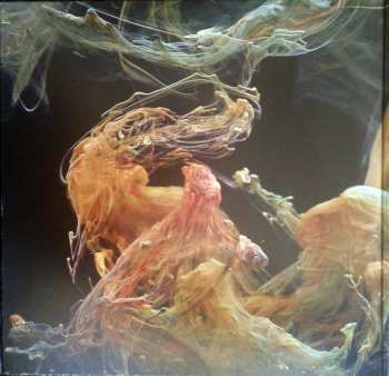 2LP Robot Koch: Hypermoment