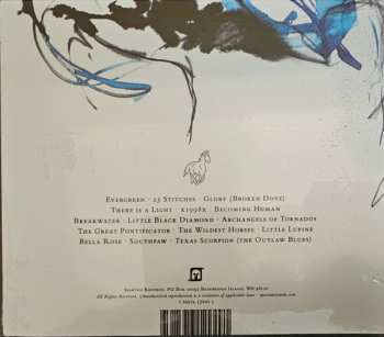 CD Rocky Votolato: Wild Roots