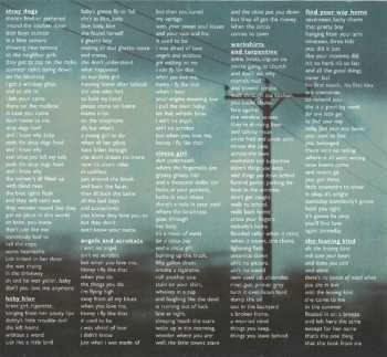 CD Rod Picott: Stray Dogs