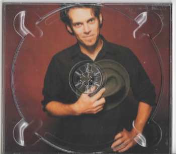 CD Rod Picott: Stray Dogs