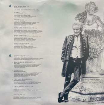 LP Rod Stewart: The Tears Of Hercules 399223