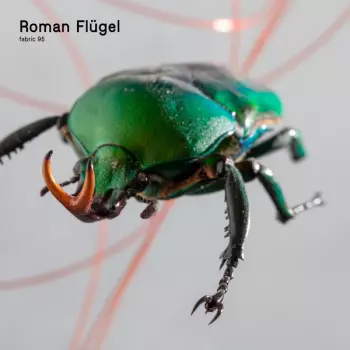 Roman Flügel: Fabric 95