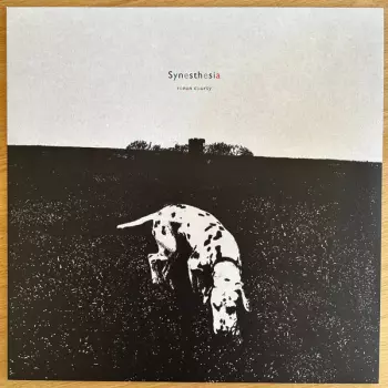 Ronan Courty: Synesthesia