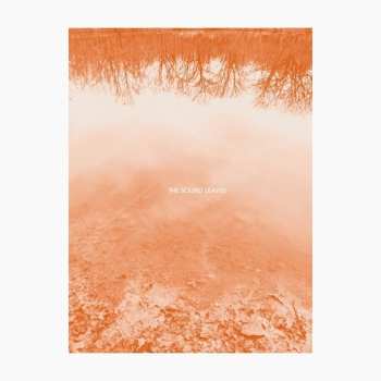 Album Rose,brad E: Sound Leaves