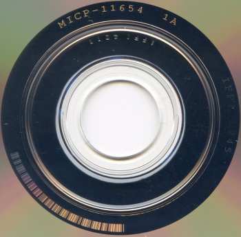 CD Running Wild: Blood On Blood