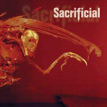 Album Sacrificial: Autohate