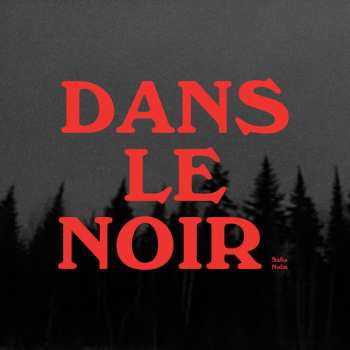 Album Safia Nolin: Dans Le Noir