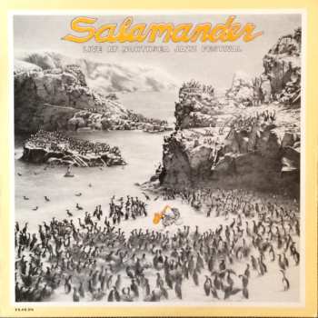 Album Salamander: Live At Northsea Jazz Festival