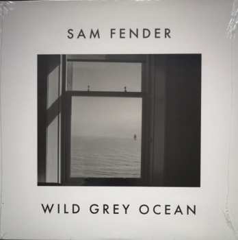 SP Sam Fender: Wild Grey Ocean / Little Bull Of Blithe LTD | CLR 444109