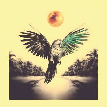 LP Sam Nobrega: Ponta De Dois Lados