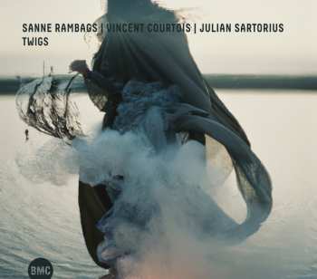 Album Sanne Rambags: Twigs