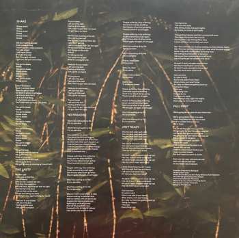 LP Santigold: Spirituals LTD | PIC 455772