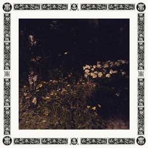 Album Sarah Davachi: Pale Bloom