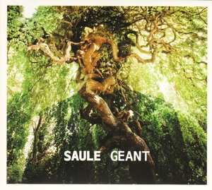 CD Saule: Géant DIGI 379380