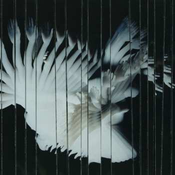 Album Scaler: Endlessly