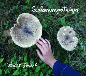 Album Schlammpeitziger: What's Fruit ?